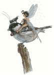 (image for) Fairy On Chickadee